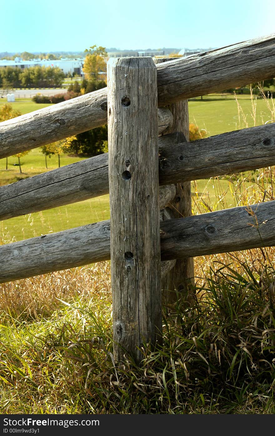 An old fence showing it's age surrounded by vegetation