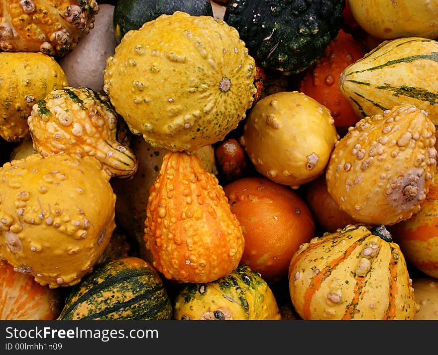 Horizontal view of colorful gourds in a pile. Horizontal view of colorful gourds in a pile