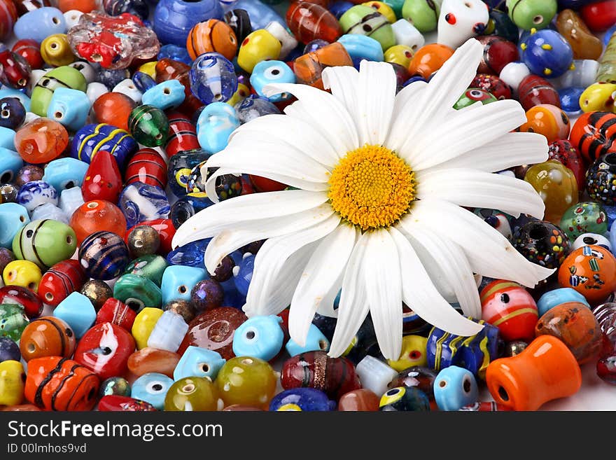 Colorful glass beads and big garden daisy. Colorful glass beads and big garden daisy