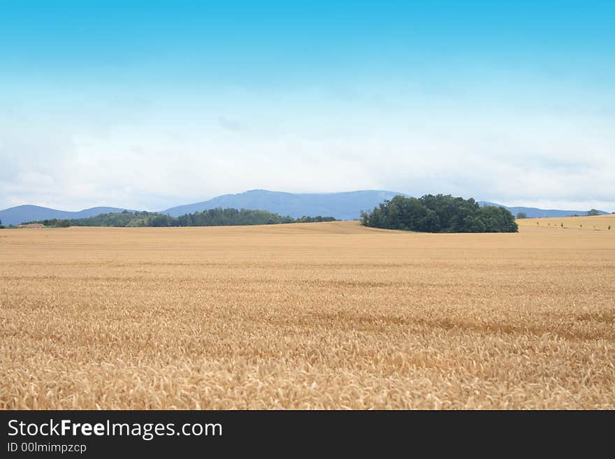 Czech Country