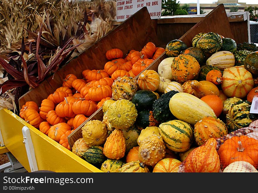 Colorful gourds and miniature pumpkins in a sellers cart.  Corn stalks shown to the side of the cart. Colorful gourds and miniature pumpkins in a sellers cart.  Corn stalks shown to the side of the cart.