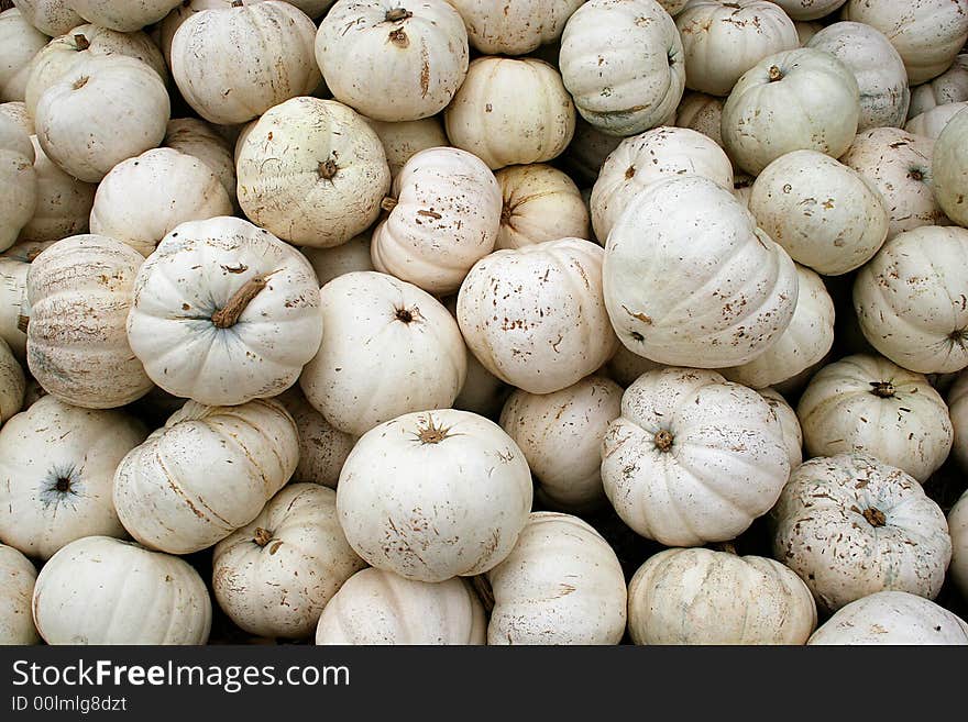 Horizontal view of a pile of white pumpkins. Horizontal view of a pile of white pumpkins