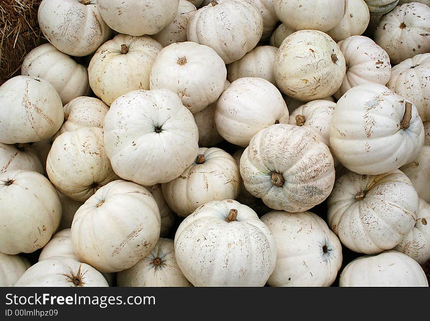 Horizontal view of a pile of white pumpkins. Horizontal view of a pile of white pumpkins