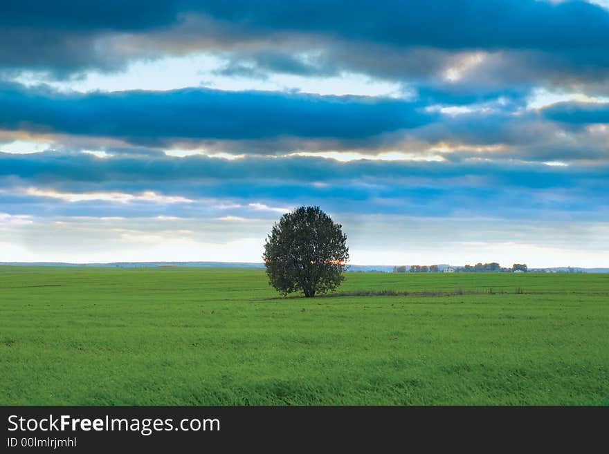 An image of green field under blue sky. An image of green field under blue sky