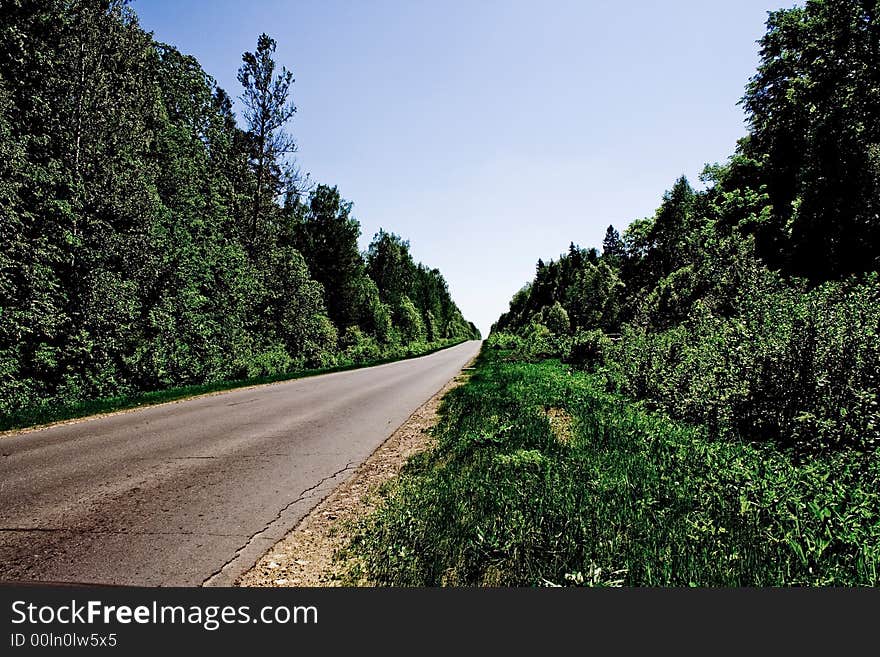 Empty road to a wood in the afternoon. Empty road to a wood in the afternoon