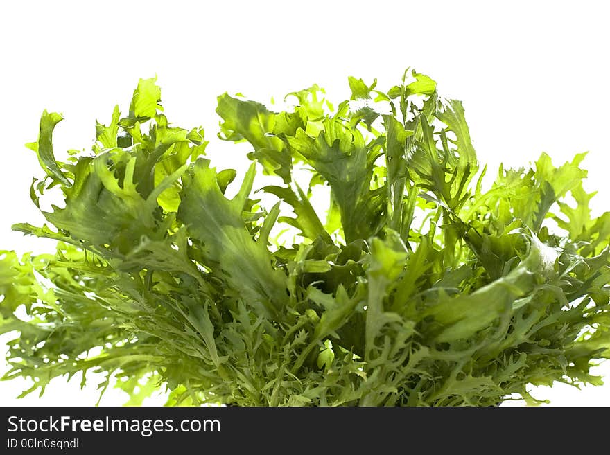 Rodiccio salad on white background