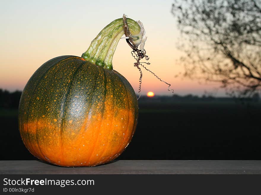 Halloween at sunset