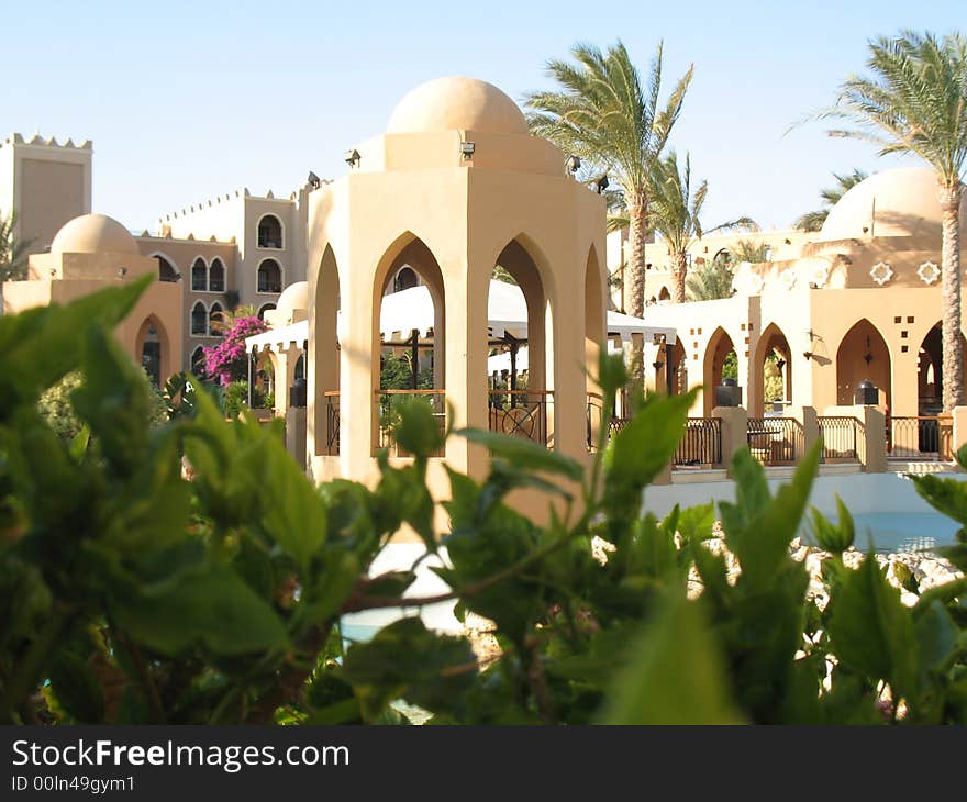 Egypt, architecture, summer, greens, leaves, an arch, palm