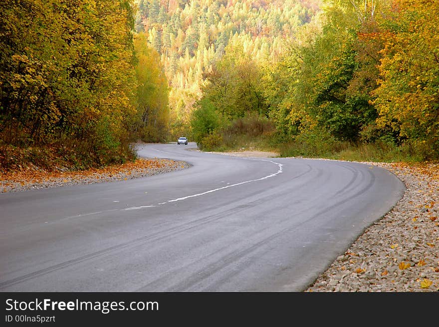 Autumn road in the forest