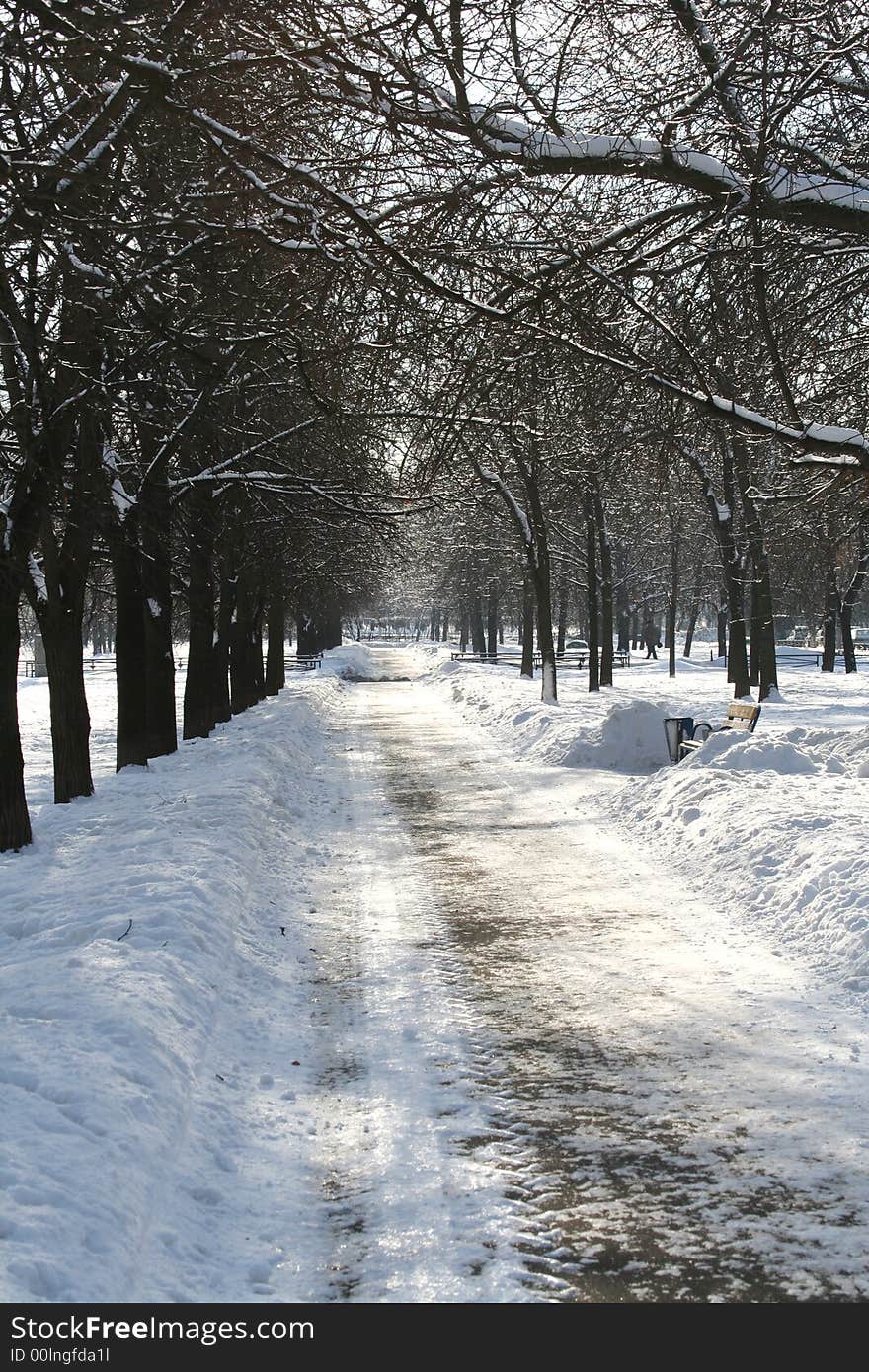 Path in winter park