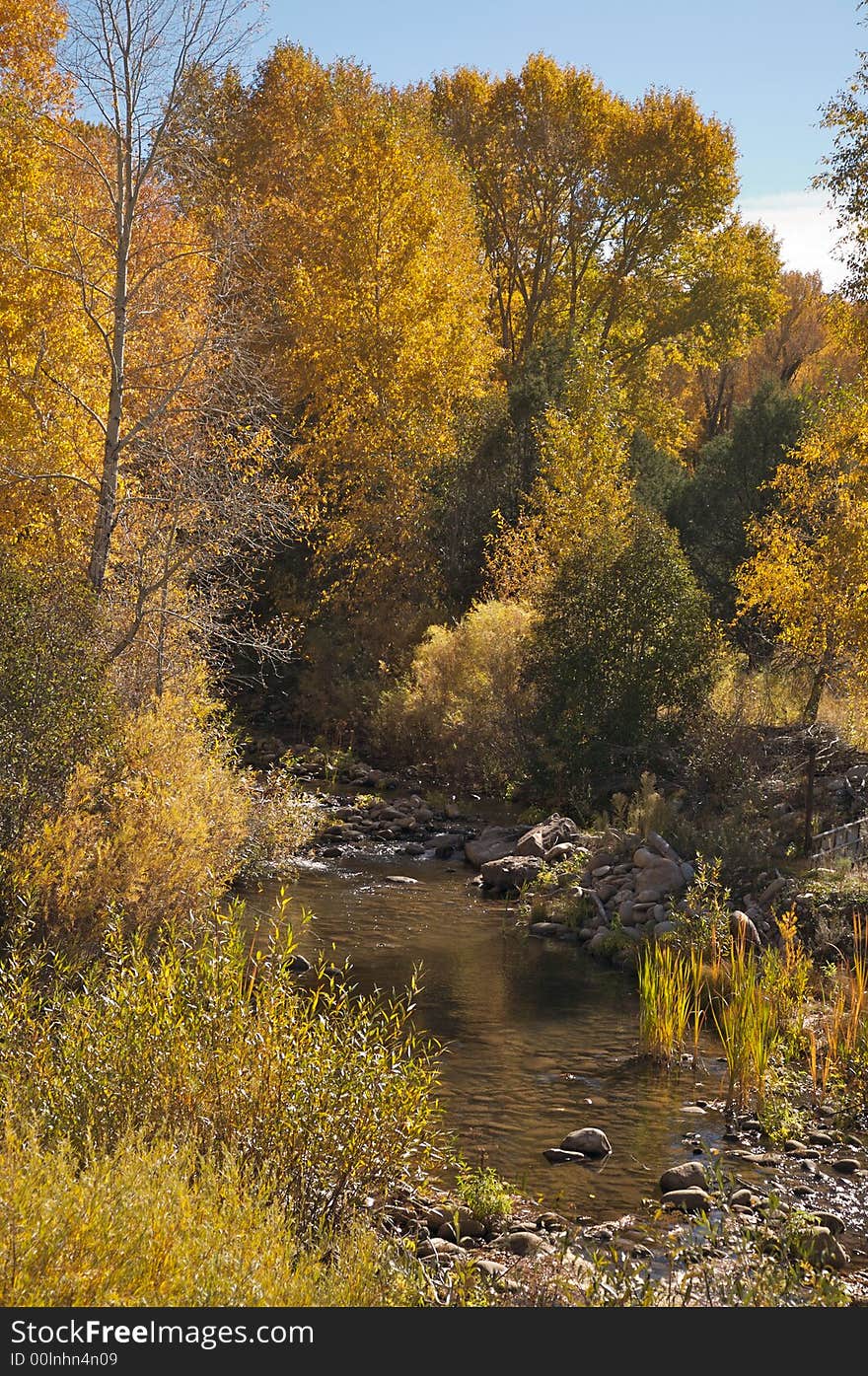 Fall colors in the trees above a small body of water