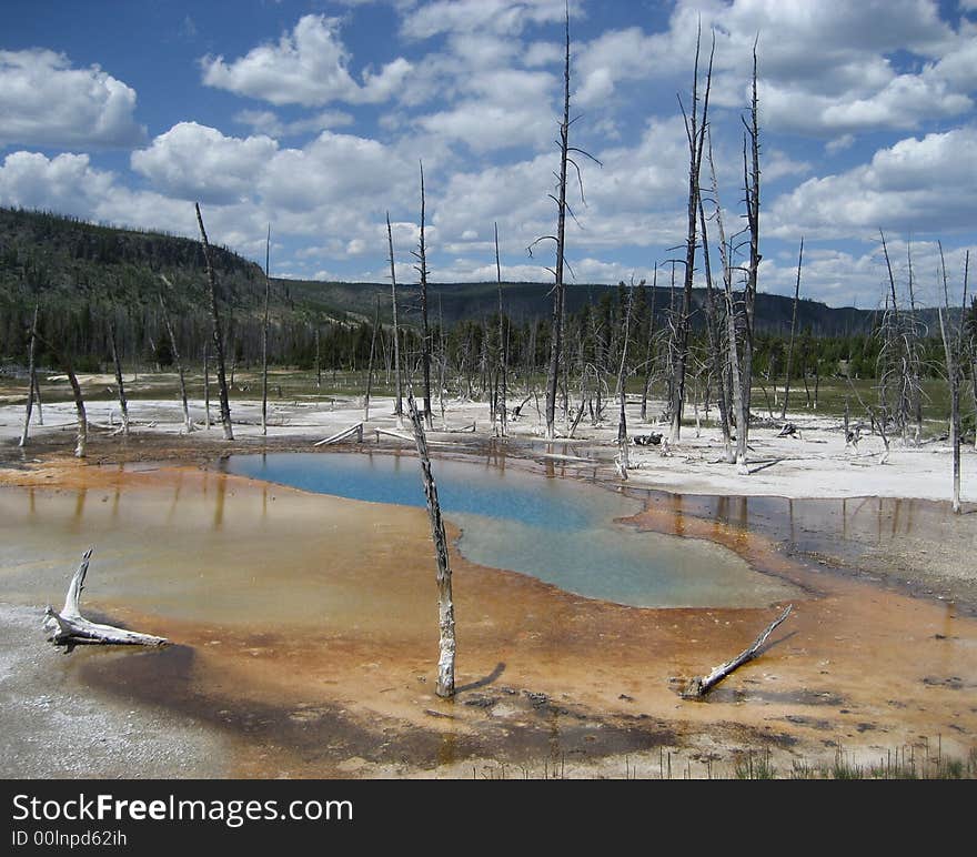 Opalescent Pool