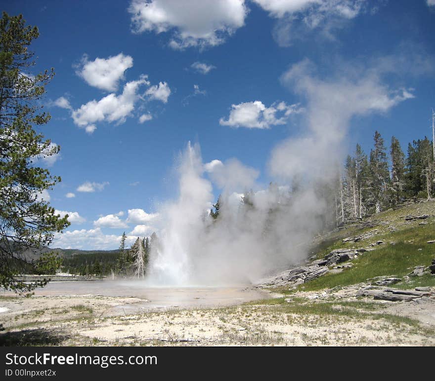 Grand Geyser is one of many geysers in Yellowstone National Park