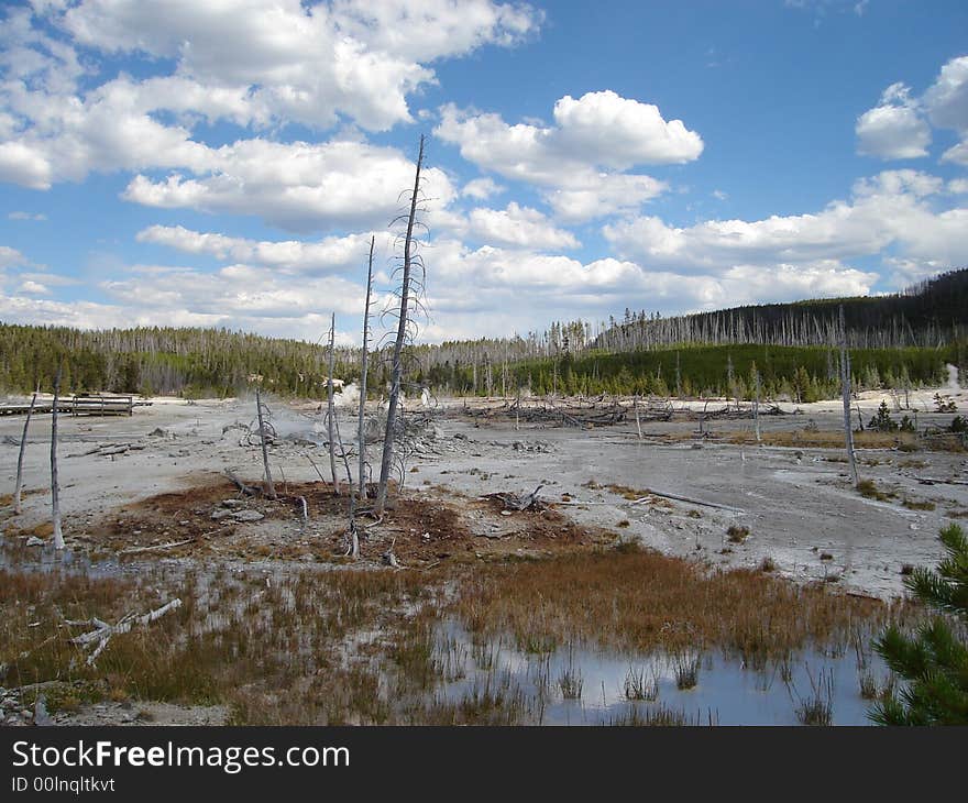 Norris Geyser Basin is one of the most active geothermal area in Yellowstone National Park