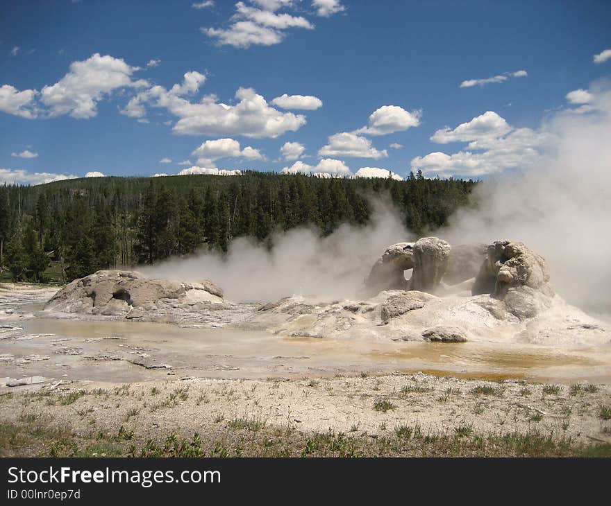 Grotto Geyser can be found in Yellowstone's Upper Geyser Basin.