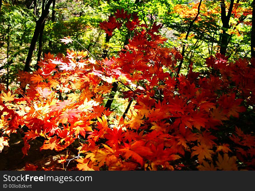 Guanmenshan mountains, benxi town liaoning province in china. Guanmenshan mountains, benxi town liaoning province in china