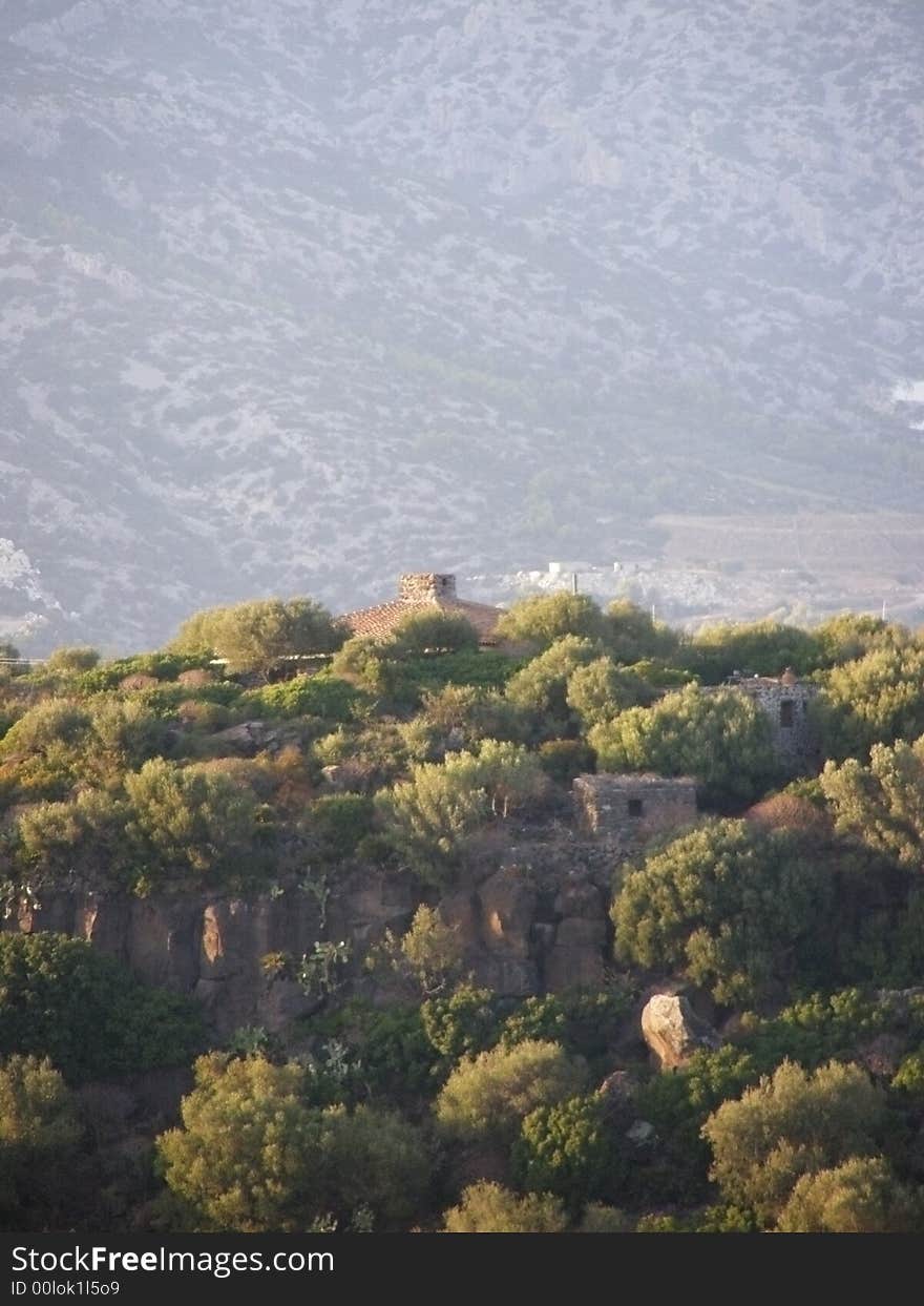 Modern Sardinian house constructed in traditional style, roof visible through lush Mediterranean vegetation of pine trees, house on top of hill just below Supramonte mountain with pastures; Sardinia Italy. Modern Sardinian house constructed in traditional style, roof visible through lush Mediterranean vegetation of pine trees, house on top of hill just below Supramonte mountain with pastures; Sardinia Italy