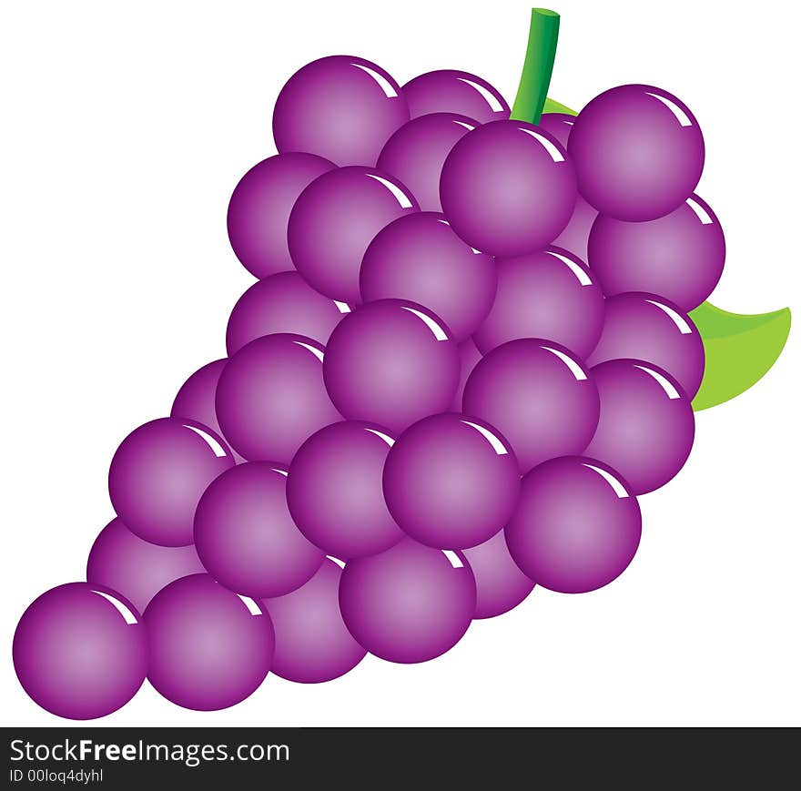 Illustration of Sweet Grapes in Graphic Style