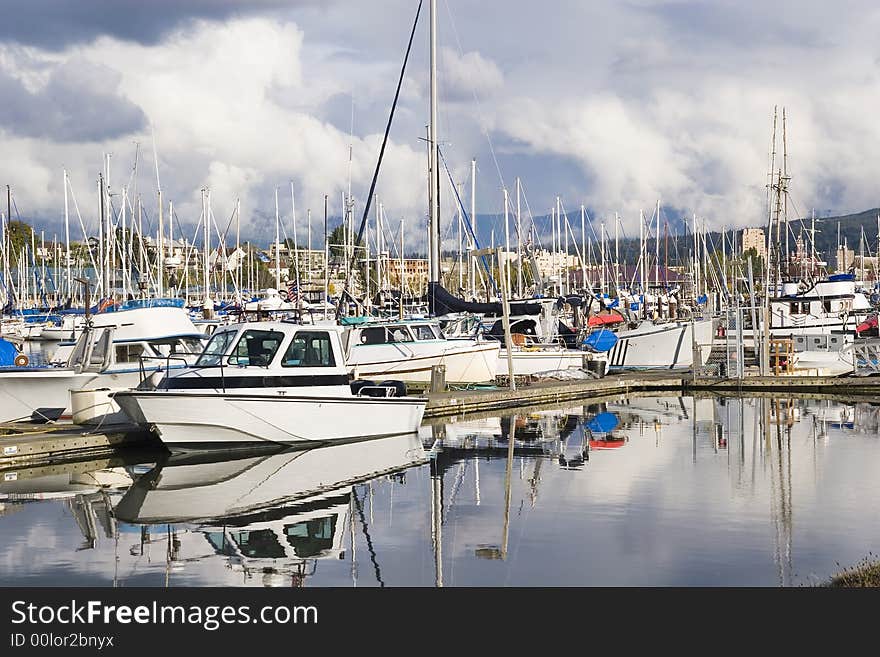 White Yachts At Marina