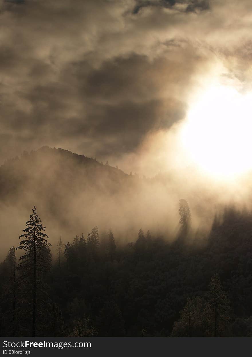 Sun shining through the trees in the mountains