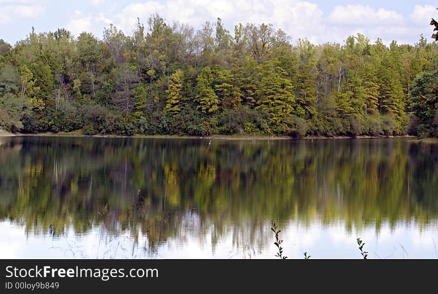 Trees reflecting in the calm water of a lake. Trees reflecting in the calm water of a lake