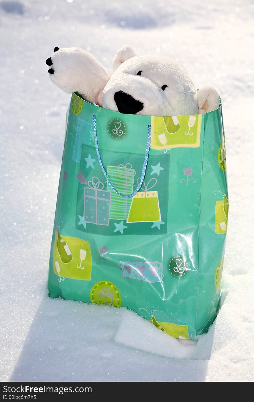 Lovely polar teddy bear in the gift paper-bag. Lovely polar teddy bear in the gift paper-bag