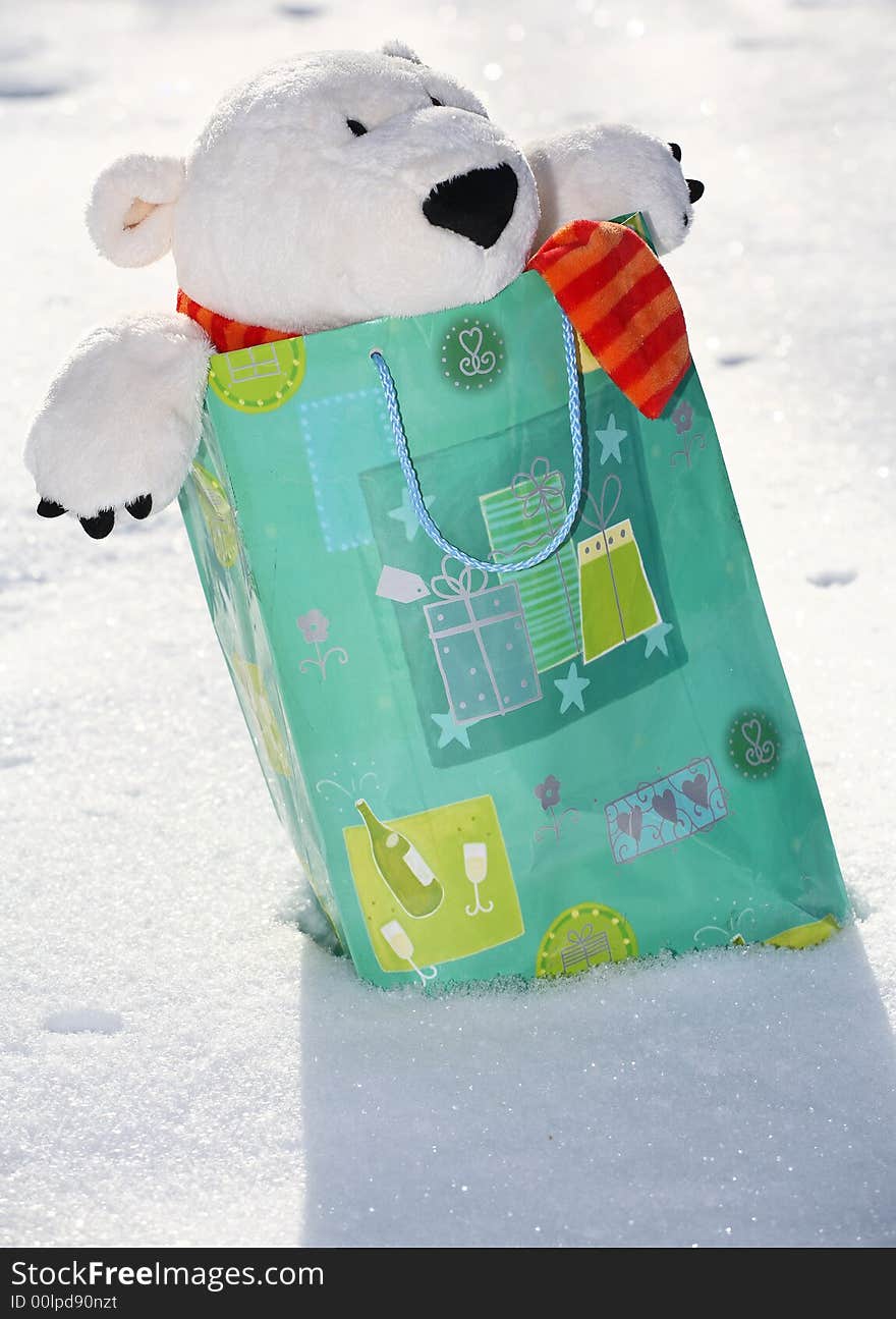 Lovely polar teddy bear in the gift paper-bag. Lovely polar teddy bear in the gift paper-bag