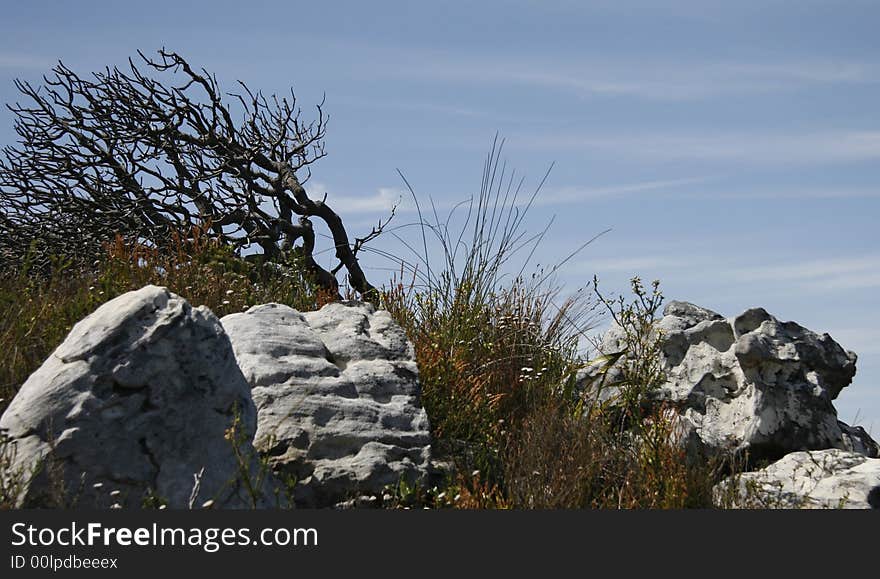 Cape Peninsula landscape