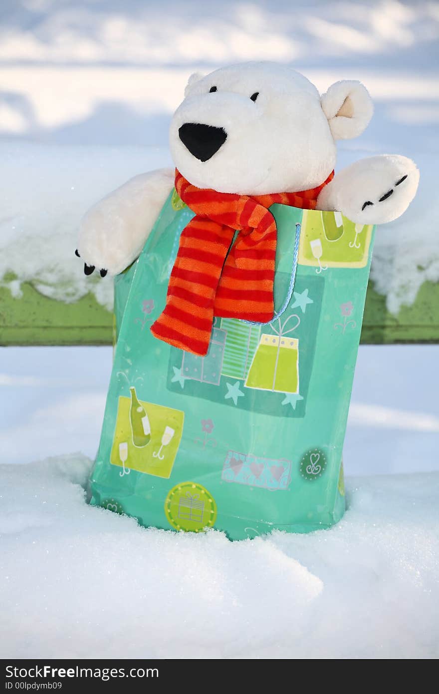 Lovely polar teddy bear in the gift paper-bag. Lovely polar teddy bear in the gift paper-bag