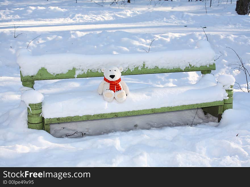 Lonely polar teddy bear on the bench