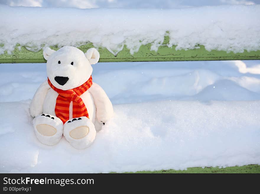 Lonely polar teddy bear on the bench