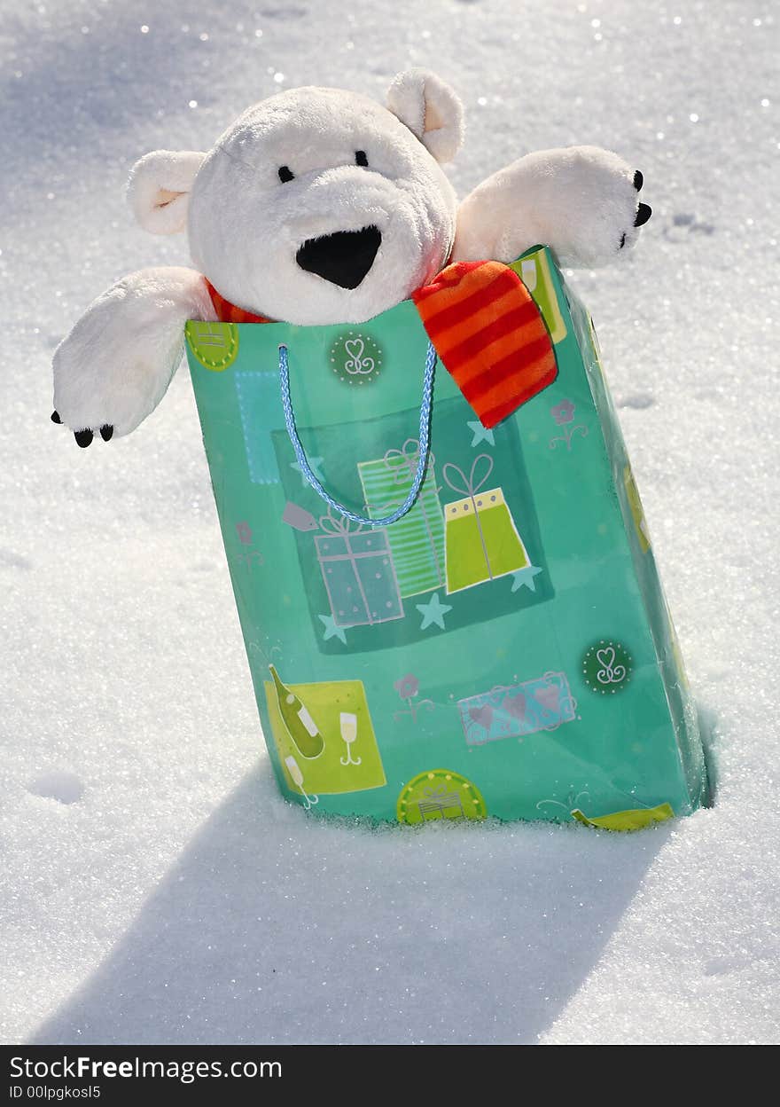 Lovely polar teddy bear in the gift paper-bag. Lovely polar teddy bear in the gift paper-bag