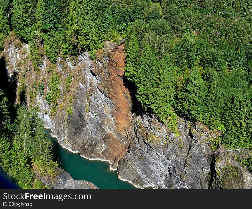 Forest Canyon