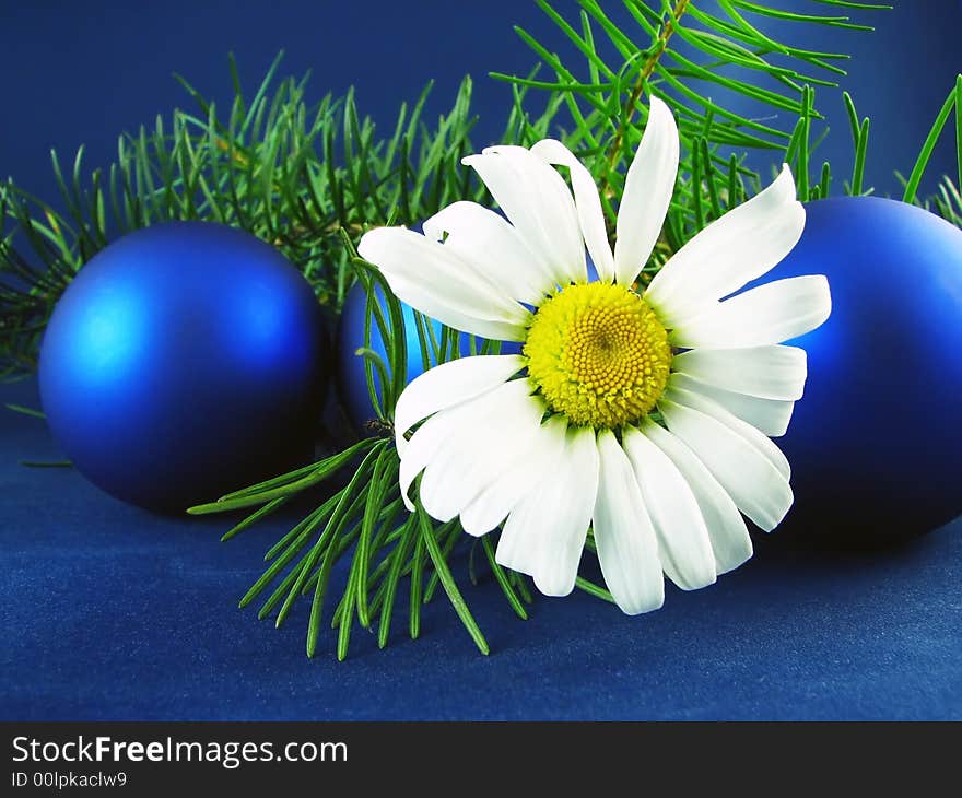 Image from christmas series: blue glass balls pine branches and flower. Image from christmas series: blue glass balls pine branches and flower