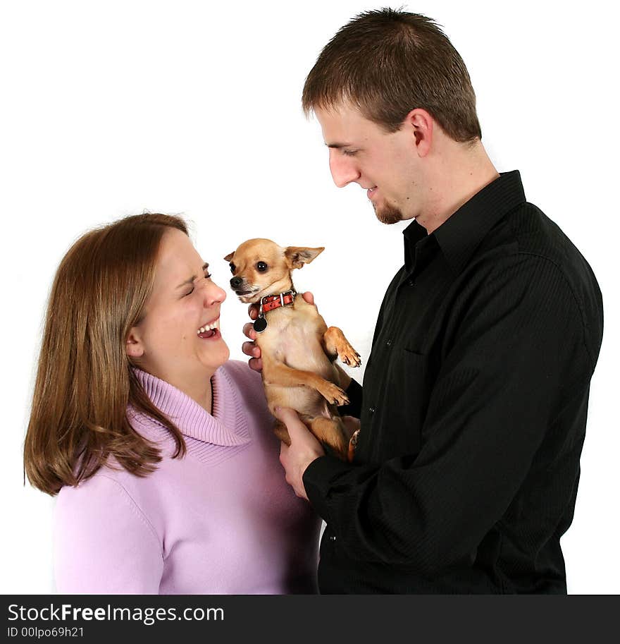 A young couple holding a tiny chihuahua