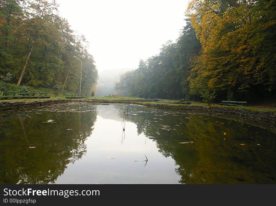 Pond in park in the morning. Pond in park in the morning