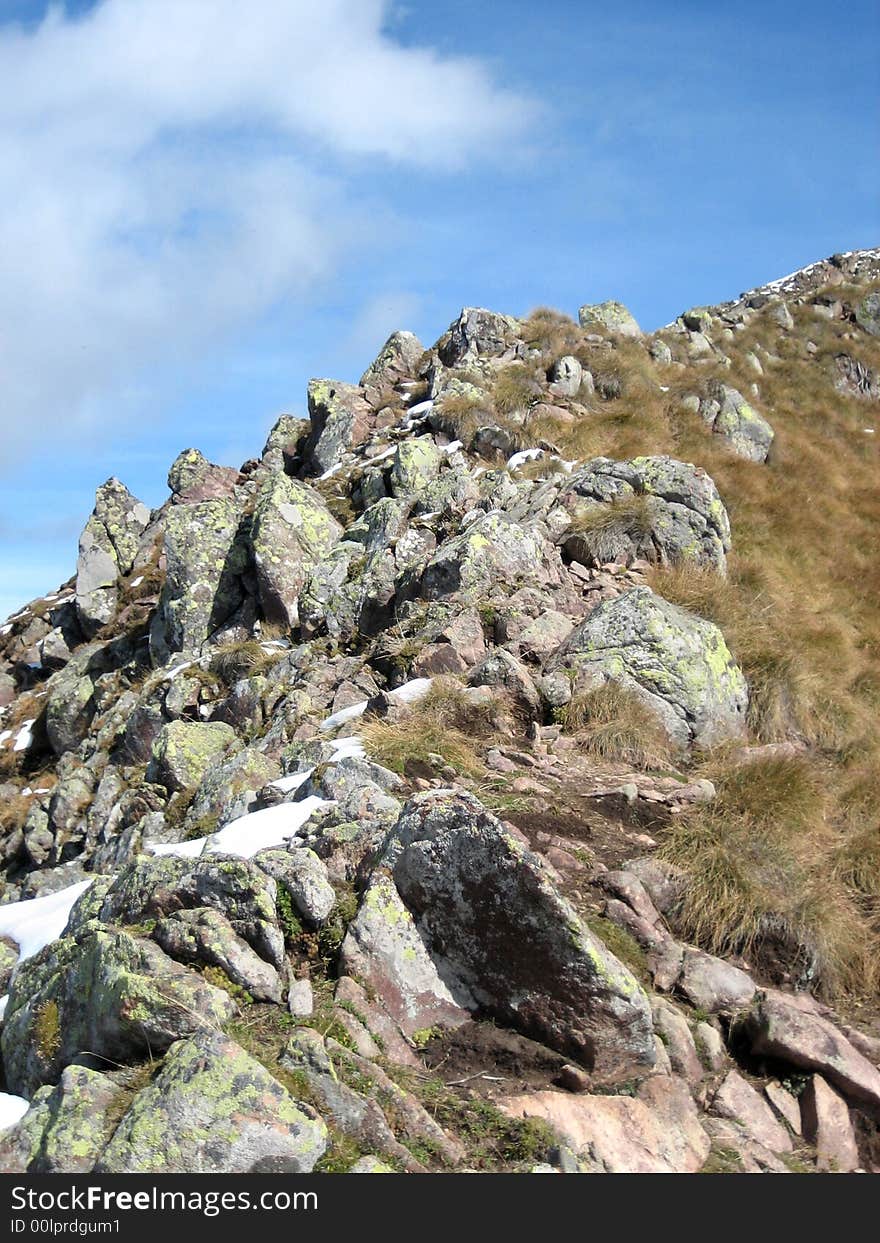 Hillside in the mountains in nature with rocks grass and other plants. Hillside in the mountains in nature with rocks grass and other plants