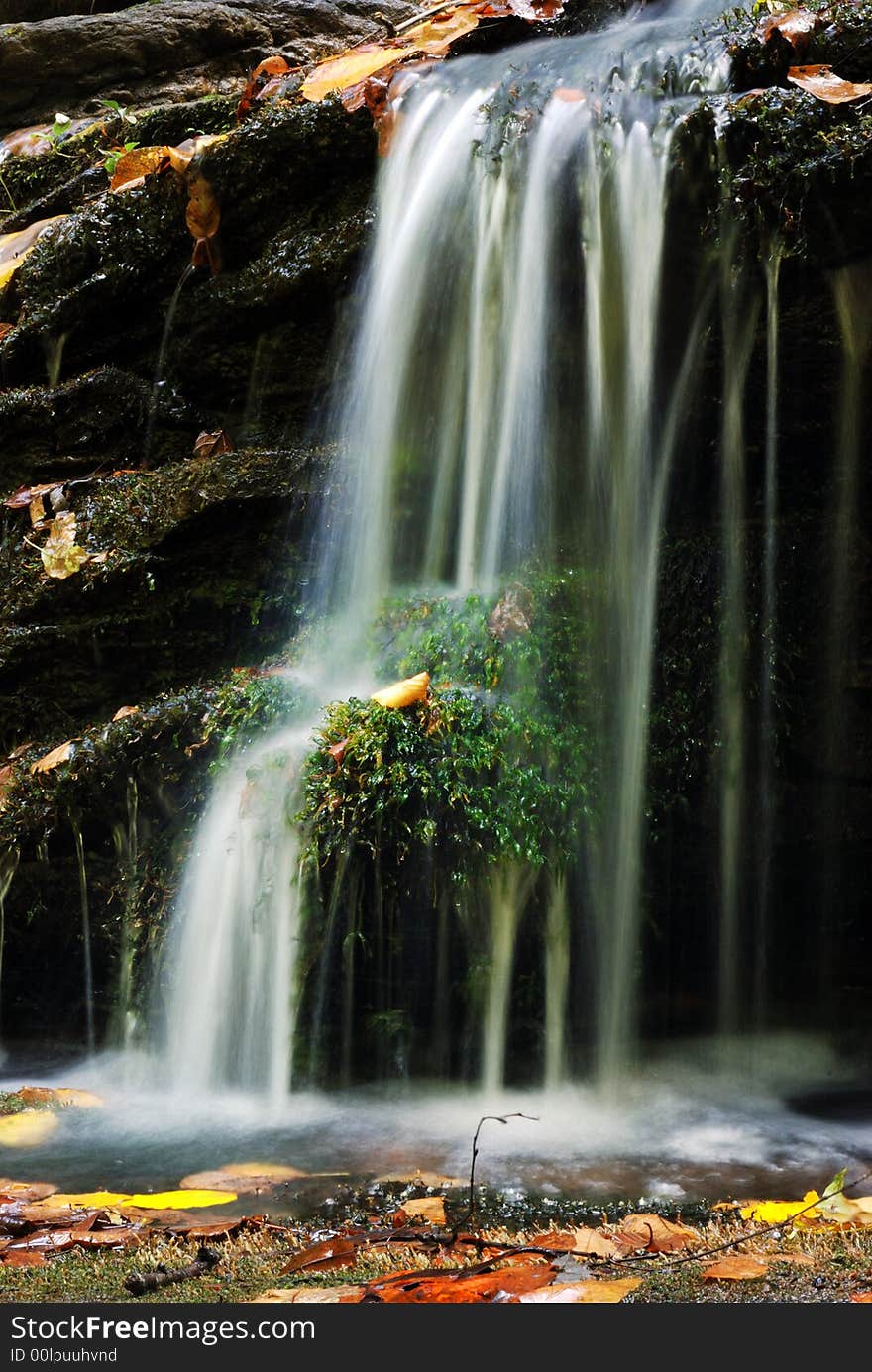 A moss covered waterfall with fall leaves around it. A moss covered waterfall with fall leaves around it.