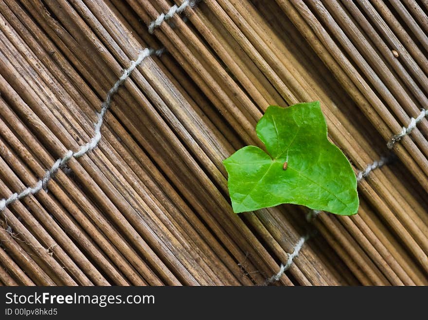 A single Hedera leaf growing through a fence. A single Hedera leaf growing through a fence