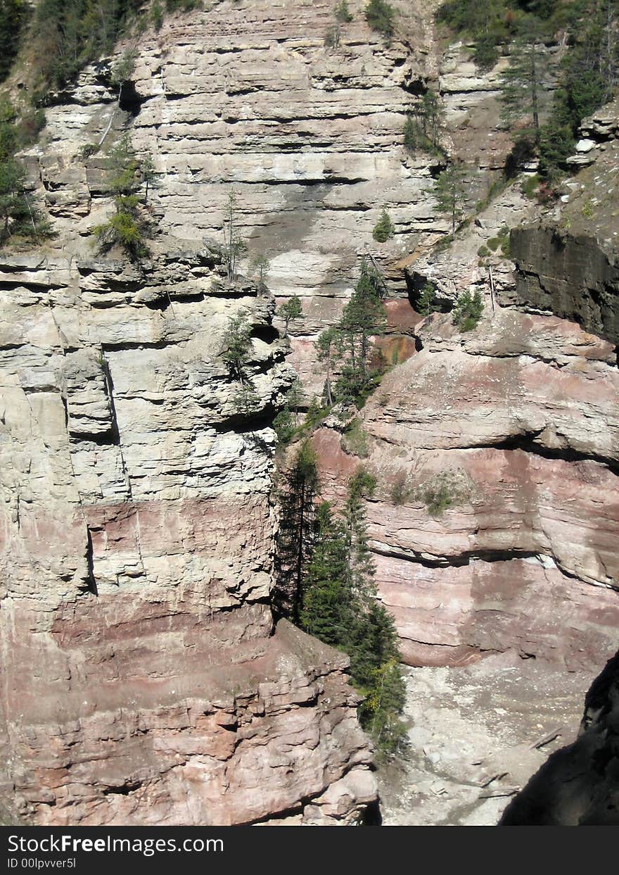 Hillside in the mountains in nature with rocks grass and other plants. Hillside in the mountains in nature with rocks grass and other plants