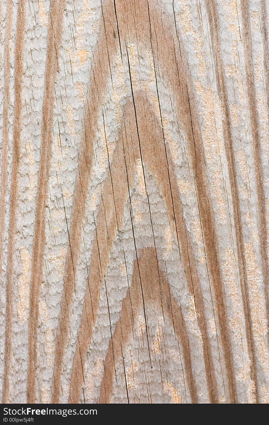 Close up of an interesting wood texture