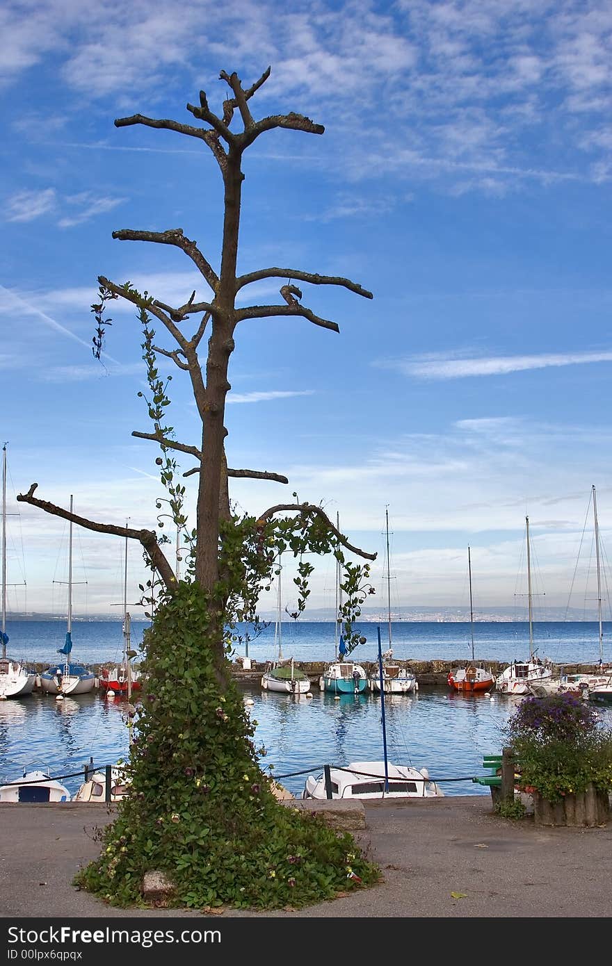 Walking yachts in small port of medieval city on a coast of lake Leman in Switzerland. Walking yachts in small port of medieval city on a coast of lake Leman in Switzerland