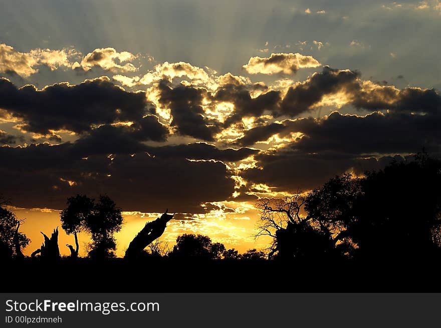 Evening sunset