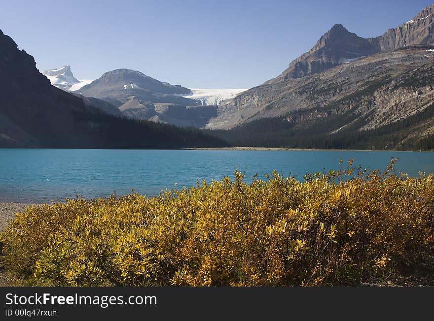 Fronted by yellow leaved shrubs and backed by mountains and a glacier, Bow Lake on the Icefields Parkway in Alberta, sparkles brilliant blue. Fronted by yellow leaved shrubs and backed by mountains and a glacier, Bow Lake on the Icefields Parkway in Alberta, sparkles brilliant blue.