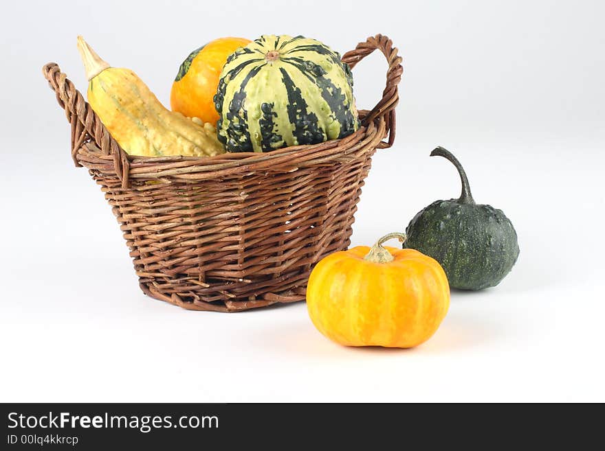 Still life with mini pumpkins. Still life with mini pumpkins