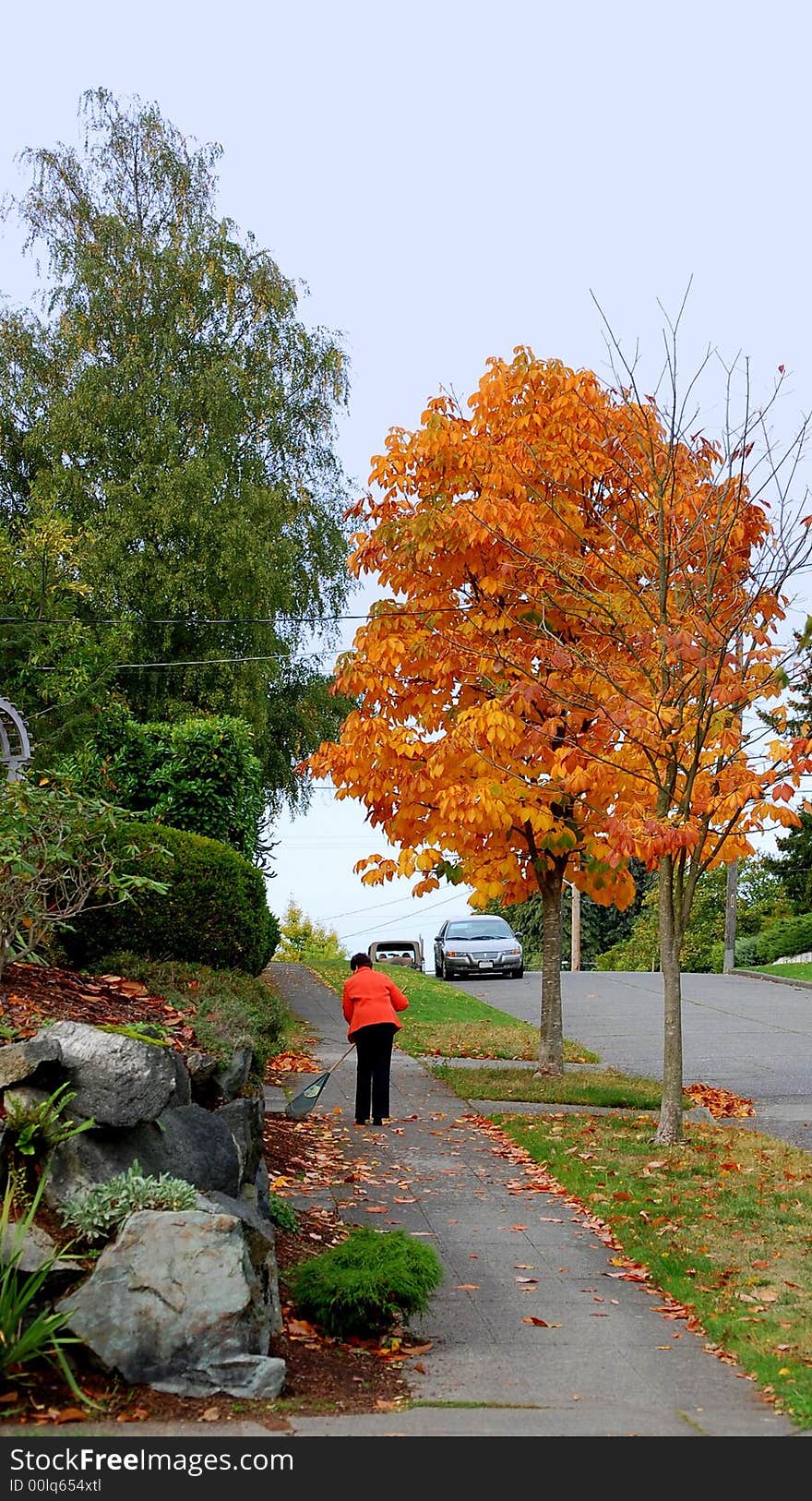 A woman is sweeping her sidewalk in autumn. A woman is sweeping her sidewalk in autumn