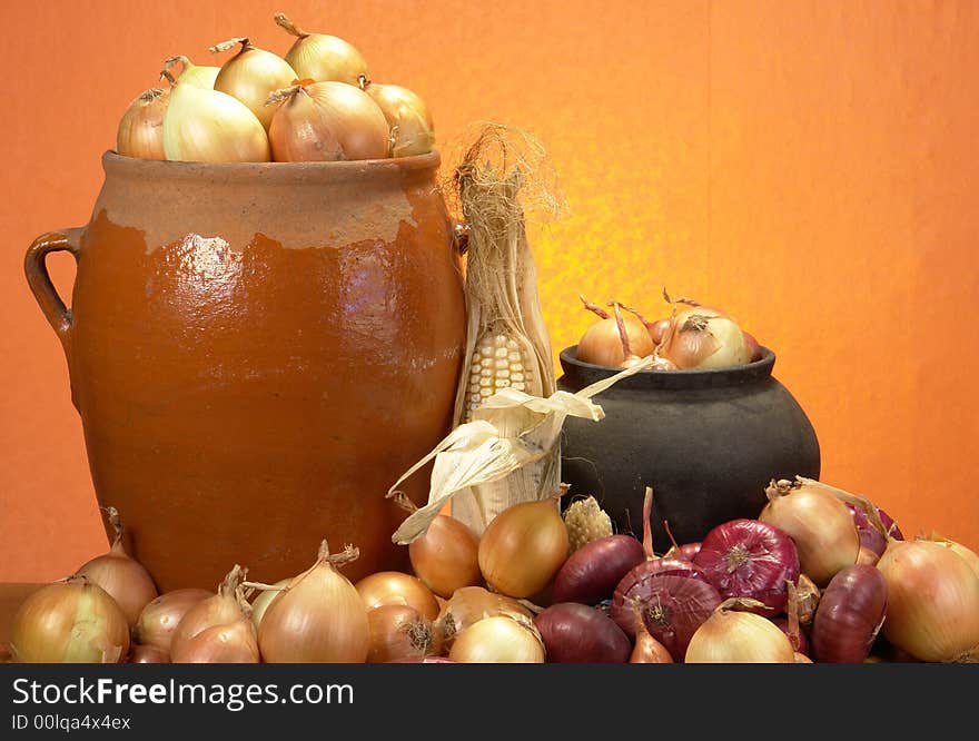 Onions on an orange background