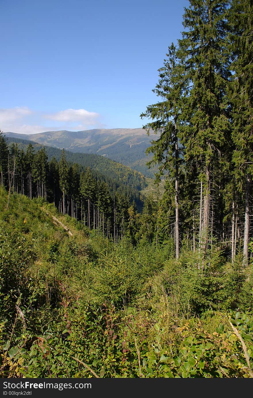 Beautiful landscape in green Carpatian mountains with hills