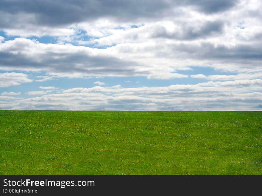 Green field and blue sky