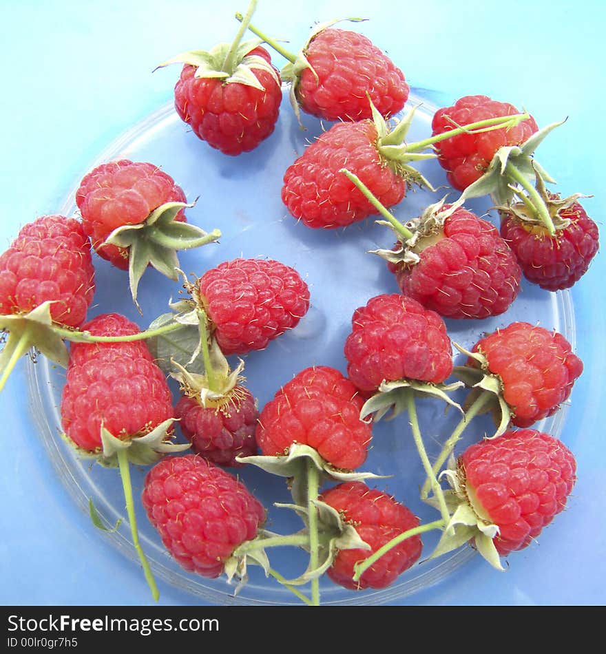 Raspberry on a dark blue background